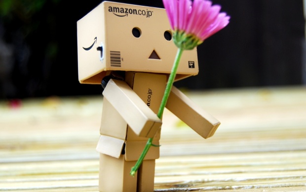 Amazon Box Giving Pink Flower