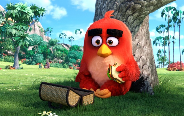 Angry Birds Hollywood Movie Stills