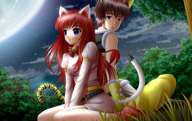 Anime Boy Girl Cat In Nature Night