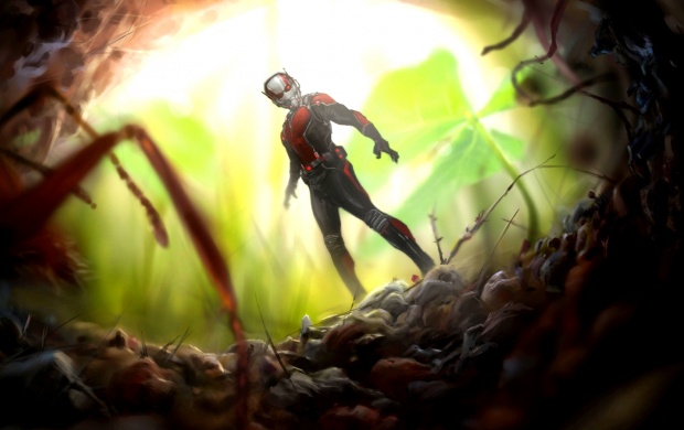 Ant-Man 2015 Artworks
