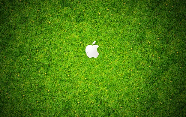 Apple Green Grass