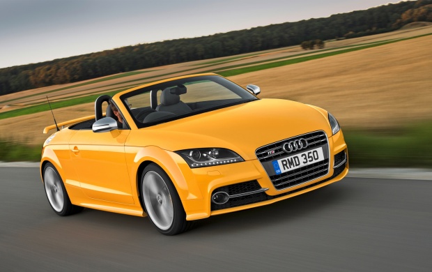 Audi TTS Cabriolet Limited Edition 2013