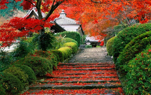 Autumn Garden Staircase