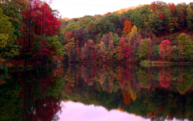 Autumn Trees Lake Reflection