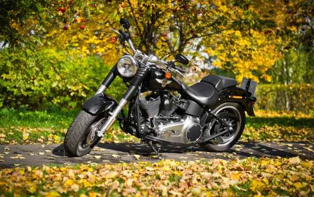 Autumn With Harley Davidson