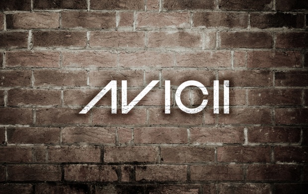 Avicii Swedish DJ