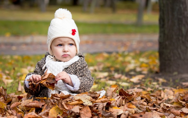 Baby Boy In Park Autumn