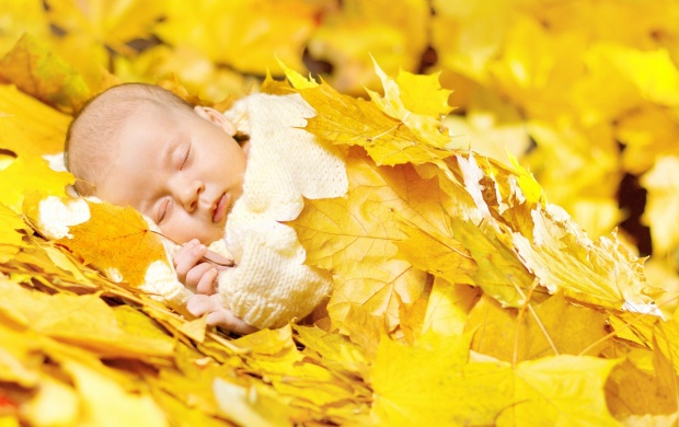 Baby Sleeping In Bright Autumn Leaves
