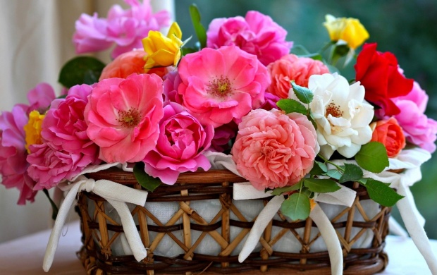 Basket Roses