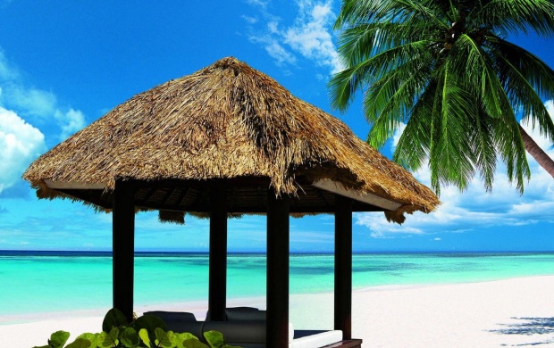 Beach Hut and Palm Tree