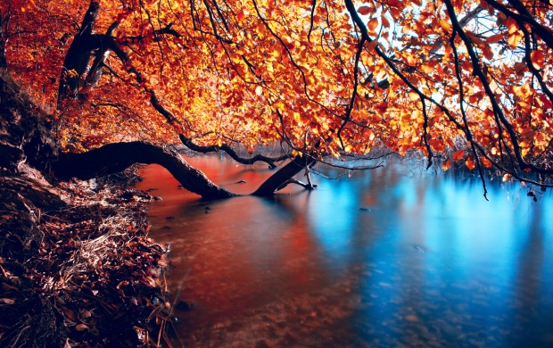 Beautiful Autumn Lake