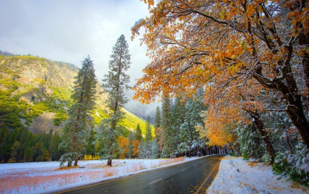 Beautiful Mountains Autumn Road