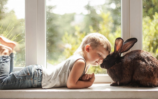 Boy Rabbit Friendship Love