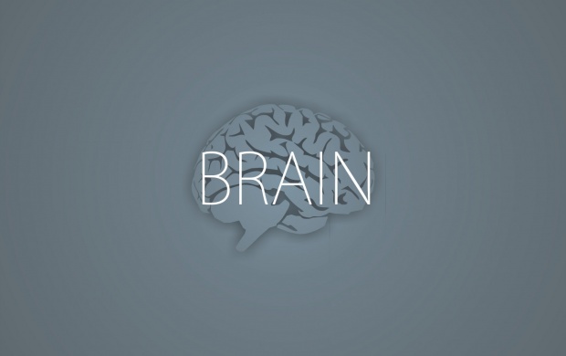 Brain On Gray Background
