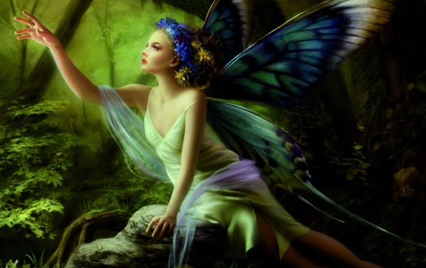 Butterfly Fairy