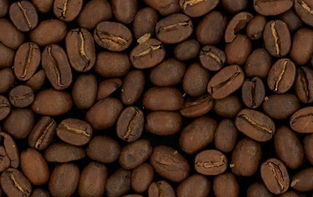 Coffee Grain Brown