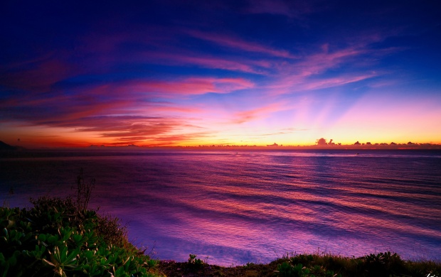 Colorful Horizon Sunsets