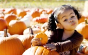 Cool Girl With Pumpkin