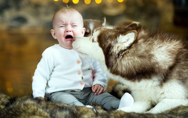 Crying Baby And Dog