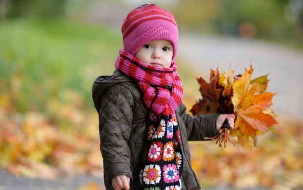 Cute Child With Autumn Leaves
