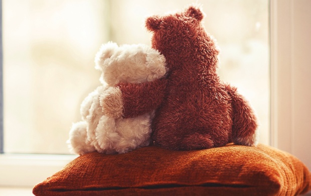 Cute Teddy Bear Couple Love
