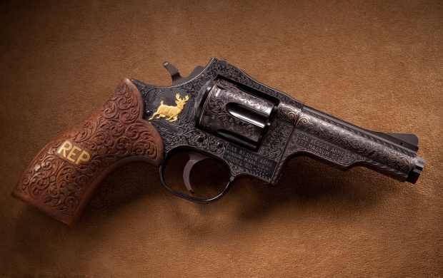 Dan Wesson D11 Revolver