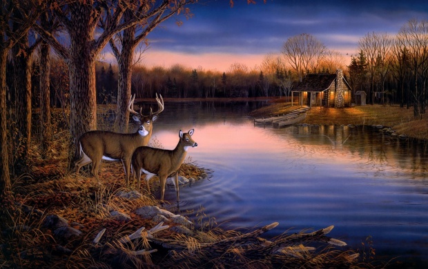 Deer Lake Evening Wall Mural