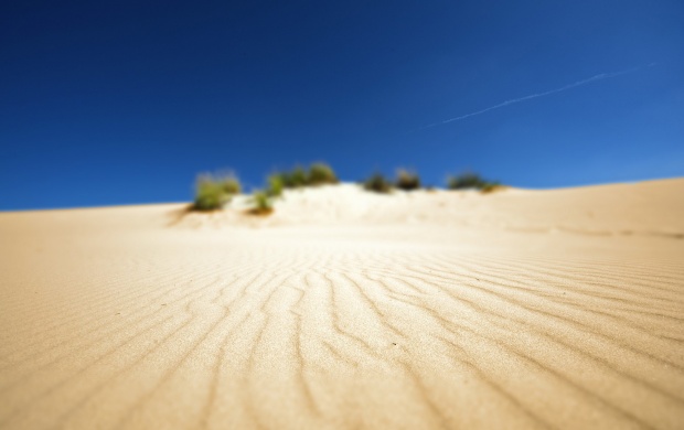 Desert Sand Closeup