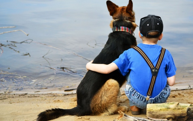 Dog And Boy Friendship