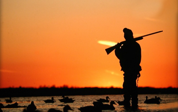 Ducks Hunting