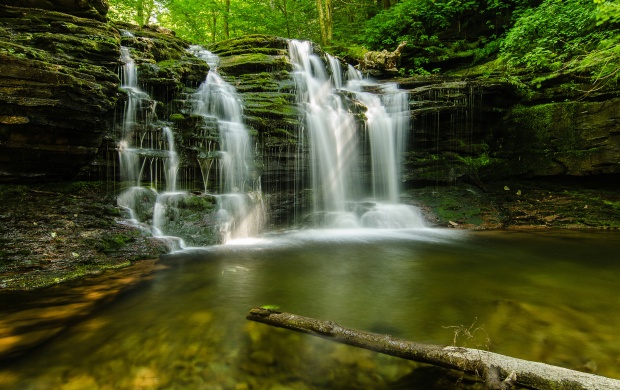 Forest Green Waterfalls
