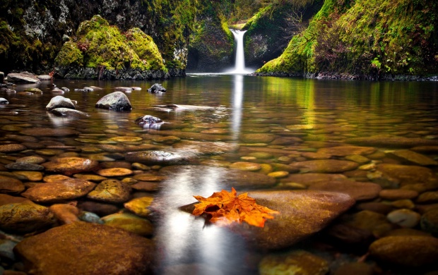 Forest Waterfall Lake Stones Autumn And Leaves