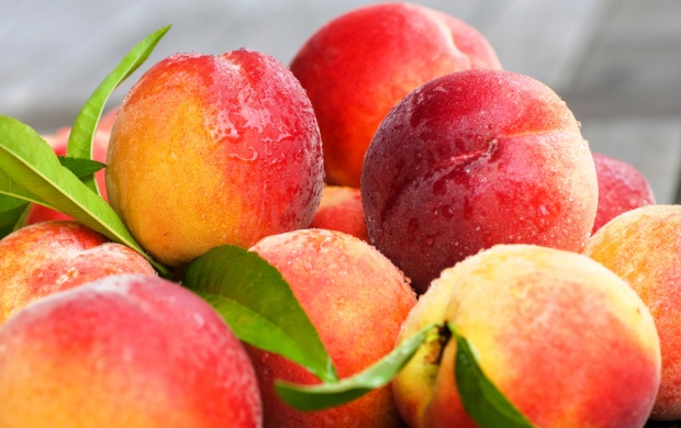 Fresh Peaches Fruit