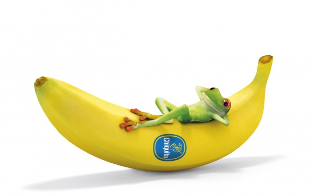 Frog Sleeping Banana