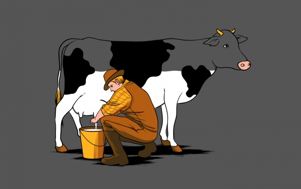 Funny Cow Milk Snatching
