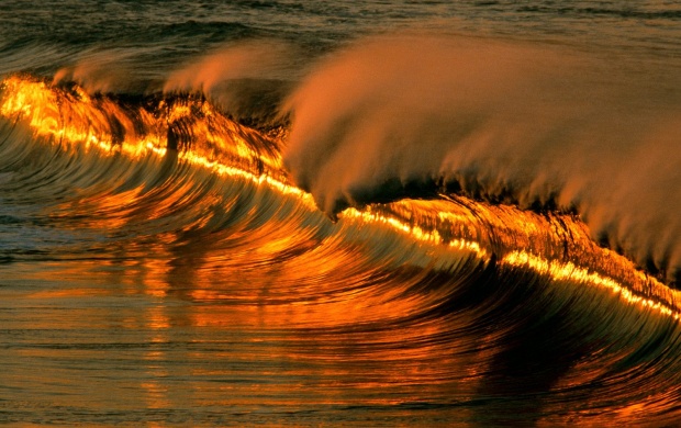 Golden Wave at Sunset, Mexico
