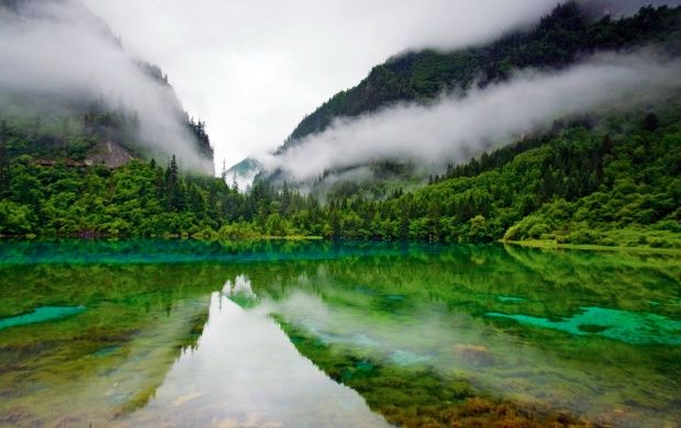 Green Color Lake And Fog