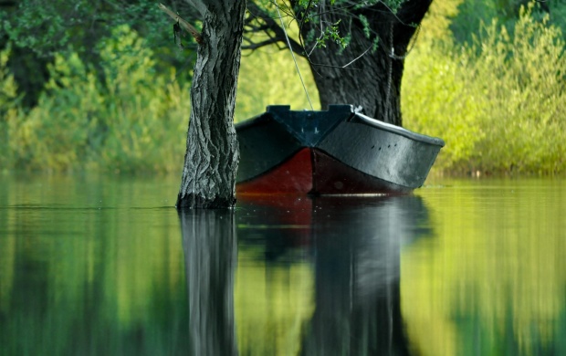 Green Water In Boat