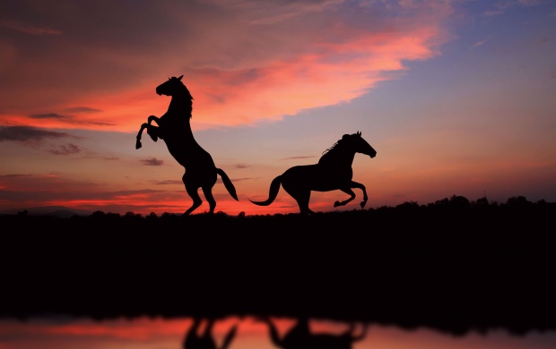 Horse Over Sunset