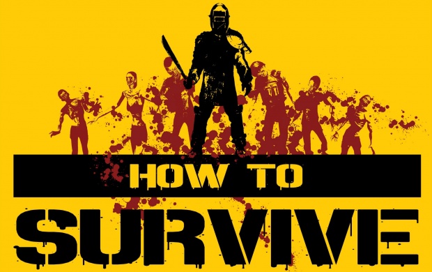 How To Survive 2013