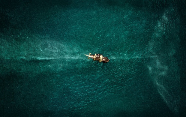 In The Heart Of The Sea 2015