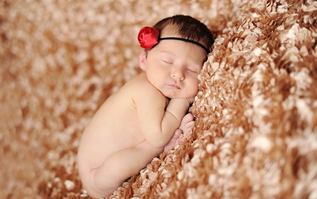 Infant Baby Sleep