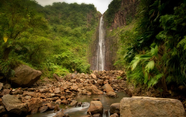 Jungle River Waterfall