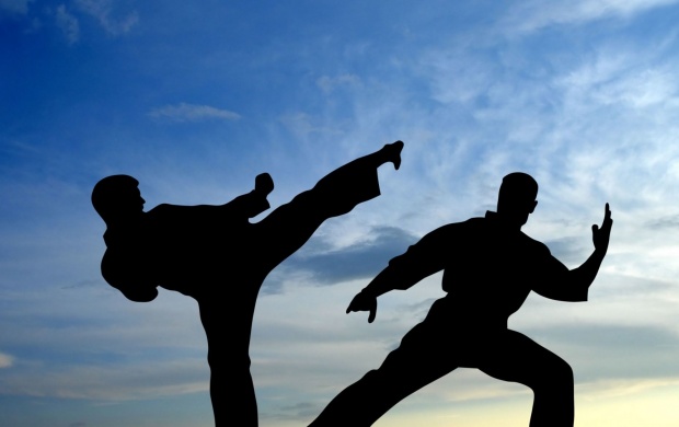 Karate Fight Shadow