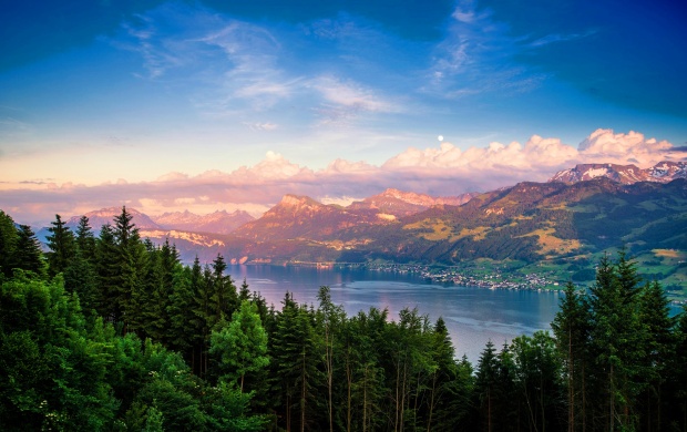 Lake Zurich Mountain Lake Forest
