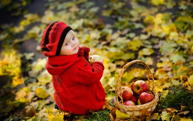 Little Girl In Red Sweater