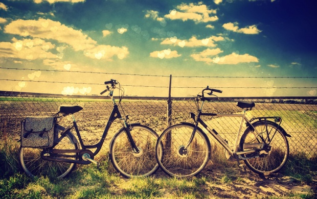 Love Bicycle Fencing