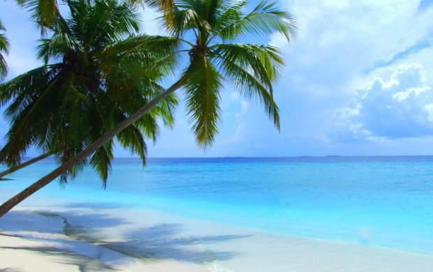 Maldives Beach Scenery
