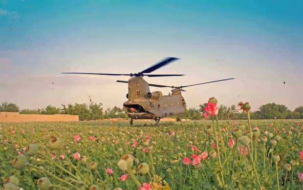 Military Helicopter With Flower