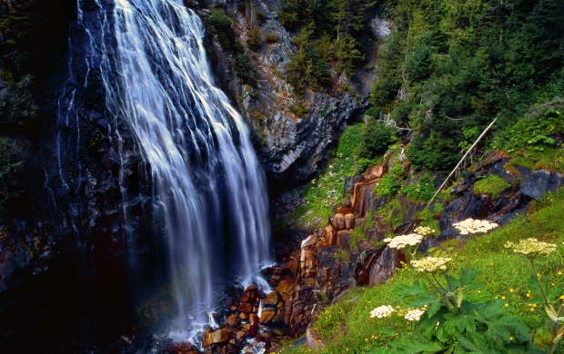 Narada Falls Mount Rainier National
